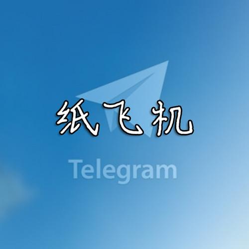 纸飞机中文包安装 纸飞机中文包安装